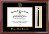 Western Illinois University 11w x 8.5h Tassel Box and Diploma Frame